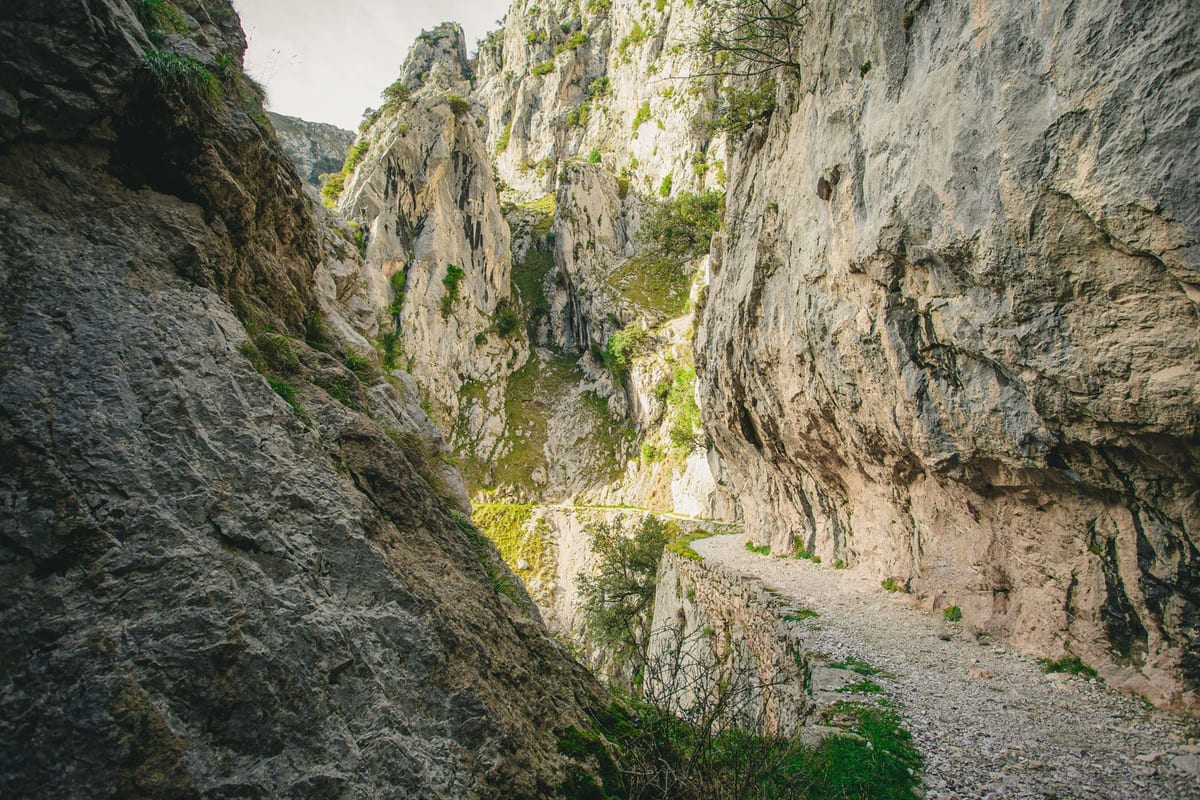 Senderismo en los Picos de Europa: la Ruta del Cares y otras joyas